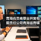 青海省贵南草业开发有限责任公司青海省青稞产业集群第一次续建（2025年）项目标段一[已发公告]（图3）