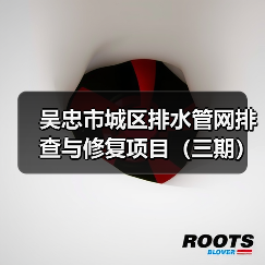 吴忠市城区排水管网排查与修复项目（三期）五标段、六标段招标公告