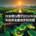 兴业银行西宁分行2026年度保安服务外包项目标段一[已发公告]