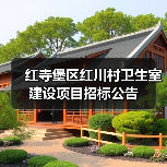 红寺堡区红川村卫生室建设项目招标公告(图4) 红寺堡区红川村卫生室建设项目招标公告(图4)