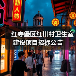 红寺堡区红川村卫生室建设项目招标公告(图3) 红寺堡区红川村卫生室建设项目招标公告(图3)