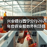 兴业银行西宁分行2026年度保安服务外包项目标段一[已发公告]（图3）