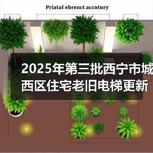 2025年第三批西宁市城西区住宅老旧电梯更新项目.[已发公告]