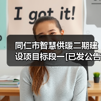 同仁市智慧供暖二期建设项目标段一[已发公告]（图4）