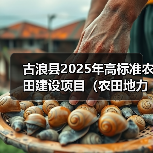 古浪县2025年高标准农田建设项目(农田地力提升工程) 古浪县2025年高标准农田建设项目(农田地力提升工程)