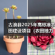 古浪县2025年高标准农田建设项目(农田地力提升工程)(图3) 古浪县2025年高标准农田建设项目(农田地力提升工程)(图3)