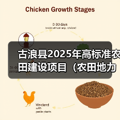 古浪县2025年高标准农田建设项目(农田地力提升工程)(图4) 古浪县2025年高标准农田建设项目(农田地力提升工程)(图4)