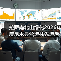 拉萨南北山绿化2026年度尼木县营造林先造后补工程3号片区项目招标公告(图3) 拉萨南北山绿化2026年度尼木县营造林先造后补工程3号片区项目招标公告(图3)