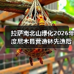 拉萨南北山绿化2026年度尼木县营造林先造后补工程3号片区项目招标公告(图4) 拉萨南北山绿化2026年度尼木县营造林先造后补工程3号片区项目招标公告(图4)