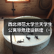 西北师范大学兰天学生公寓除危建设新建(一期)项目弱电工程(专业工程暂估价)(图3) 西北师范大学兰天学生公寓除危建设新建(一期)项目弱电工程(专业工程暂估价)(图3)