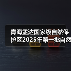 青海孟达国家级自然保护区2025年第一批自然保护区补助资金项目（EPC）标段一[已发公告]（图1）