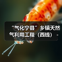 “气化宁县”乡镇天然气利用工程(西线)-和盛太昌焦村供气管线及新宁气源建设项目设计、采购、施工(EPC)总承包 “气化宁县”乡镇天然气利用工程(西线)-和盛太昌焦村供气管线及新宁气源建设项目设计、采购、施工(EPC)总承包