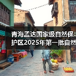 青海孟达国家级自然保护区2025年第一批自然保护区补助资金项目（EPC）标段一[已发公告]（图4）