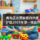 青海孟达国家级自然保护区2025年第一批自然保护区补助资金项目（EPC）标段一[已发公告]（图3）