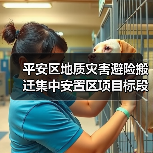 平安区地质灾害避险搬迁集中安置区项目标段一[已发公告]（图3）