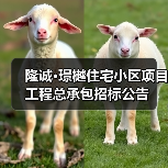 隆诚·璟樾住宅小区项目工程总承包招标公告（图1）