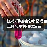隆诚·璟樾住宅小区项目工程总承包招标公告（图2）