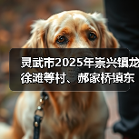 灵武市2025年崇兴镇龙徐滩等村、郝家桥镇东滩村高标准农田建设项目(渠改渠改造提升)一标段(二次)招标公告(图4) 灵武市2025年崇兴镇龙徐滩等村、郝家桥镇东滩村高标准农田建设项目(渠改渠改造提升)一标段(二次)招标公告(图4)