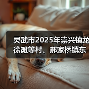 灵武市2025年崇兴镇龙徐滩等村、郝家桥镇东滩村高标准农田建设项目(渠改渠改造提升)一标段(二次)招标公告 灵武市2025年崇兴镇龙徐滩等村、郝家桥镇东滩村高标准农田建设项目(渠改渠改造提升)一标段(二次)招标公告