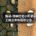 隆诚·璟樾住宅小区项目工程总承包招标公告 隆诚·璟樾住宅小区项目工程总承包招标公告