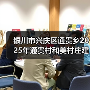 银川市兴庆区通贵乡2025年通贵村和美村庄建设项目招标公告