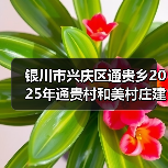 银川市兴庆区通贵乡2025年通贵村和美村庄建设项目招标公告(图4) 银川市兴庆区通贵乡2025年通贵村和美村庄建设项目招标公告(图4)