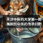 天津中医药大学第一附属医院中医药传承创新工程暨北院区提升改造工程1标段施工招标公告(图1) 天津中医药大学第一附属医院中医药传承创新工程暨北院区提升改造工程1标段施工招标公告(图1)
