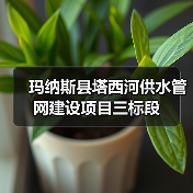 玛纳斯县塔西河供水管网建设项目三标段(图3) 玛纳斯县塔西河供水管网建设项目三标段(图3)