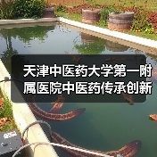 天津中医药大学第一附属医院中医药传承创新工程暨北院区提升改造工程1标段施工招标公告