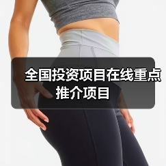 全国投资项目在线重点推介项目（图1）