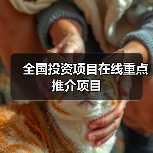 全国投资项目在线重点推介项目（图2）