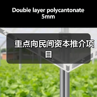 重点向民间资本推介项目（图1）