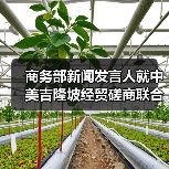 商务部新闻发言人就中美吉隆坡经贸磋商联合安排答记者问(图3) 商务部新闻发言人就中美吉隆坡经贸磋商联合安排答记者问(图3)