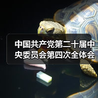 中国共产党第二十届中央委员会第四次全体会议在北京开始举行（图1）