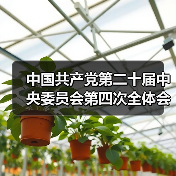 中国共产党第二十届中央委员会第四次全体会议在北京开始举行（图2）