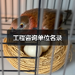 工程咨询单位名录（图1）