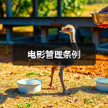 电影管理条例(图1) 电影管理条例(图1)