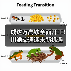 成达万高铁全面开工!川渝交通迎来新机遇(图1) 成达万高铁全面开工!川渝交通迎来新机遇(图1)