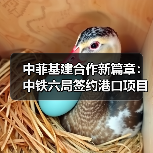 中菲基建合作新篇章:中铁六局签约港口项目(图1) 中菲基建合作新篇章:中铁六局签约港口项目(图1)