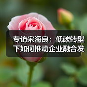 专访宋海良:低碳转型下如何推动企业融合发展?(图4) 专访宋海良:低碳转型下如何推动企业融合发展?(图4)