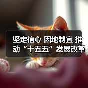 坚定信心 因地制宜 推动“十五五”发展改革工作开好局起好步——云南省发展和改革工作会议在昆明召开（图3）