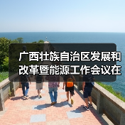 广西壮族自治区发展和改革暨能源工作会议在南宁召开（图3）