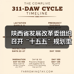陕西省发展改革委组织召开“十五五”规划重大工程项目谋划工作推进会(图2) 陕西省发展改革委组织召开“十五五”规划重大工程项目谋划工作推进会(图2)