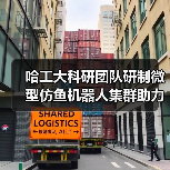 哈工大科研团队研制微型仿鱼机器人集群助力高效药物递送(图4) 哈工大科研团队研制微型仿鱼机器人集群助力高效药物递送(图4)