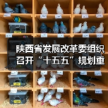 陕西省发展改革委组织召开“十五五”规划重大工程项目谋划工作推进会(图3) 陕西省发展改革委组织召开“十五五”规划重大工程项目谋划工作推进会(图3)
