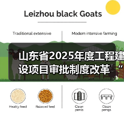 山东省2025年度工程建设项目审批制度改革 “揭榜挂帅”创新试点验收评估暨改革推进会召开(图3) 山东省2025年度工程建设项目审批制度改革 “揭榜挂帅”创新试点验收评估暨改革推进会召开(图3)