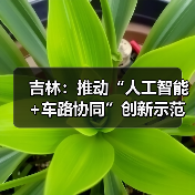 吉林:推动“人工智能+车路协同”创新示范(图3) 吉林:推动“人工智能+车路协同”创新示范(图3)