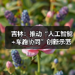 吉林:推动“人工智能+车路协同”创新示范(图4) 吉林:推动“人工智能+车路协同”创新示范(图4)