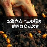 安徽六安“三心服务” 助圆群众安居梦(图2) 安徽六安“三心服务” 助圆群众安居梦(图2)