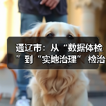 通辽市:从“数据体检”到“实地治理” 检治协同推进城市有机更新(图4) 通辽市:从“数据体检”到“实地治理” 检治协同推进城市有机更新(图4)
